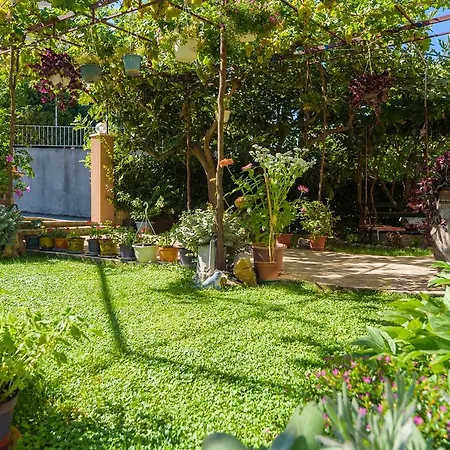 Apartment Intrada Podstrana